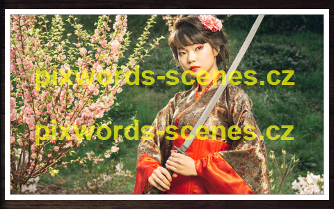 PixWords Scenes help
