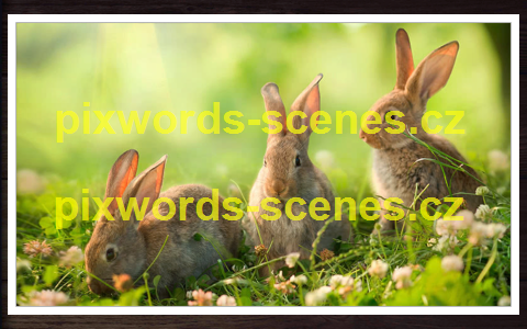 PixWords Scenes help