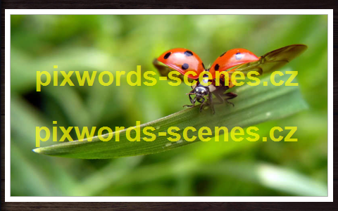 PixWords Scenes help