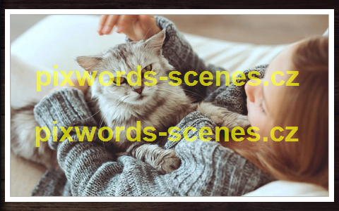 PixWords Scenes help