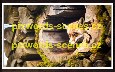 PixWords Scenes help