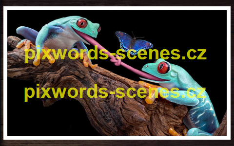 PixWords Scenes help