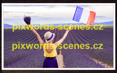 PixWords Scenes help
