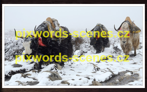 PixWords Scenes help