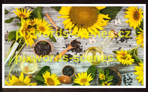 PixWords Scenes help