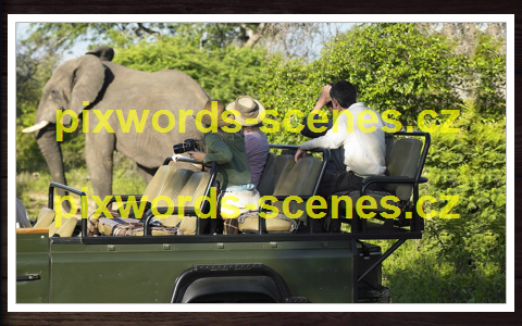 PixWords Scenes help