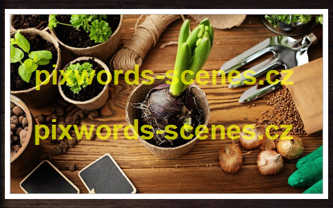 PixWords Scenes help