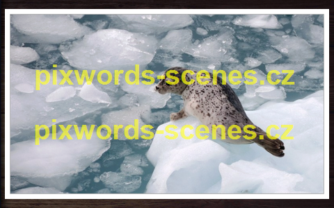 PixWords Scenes help