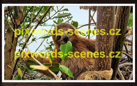 PixWords Scenes help