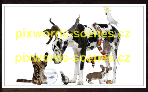 PixWords Scenes help