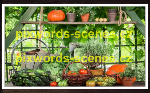 PixWords Scenes help
