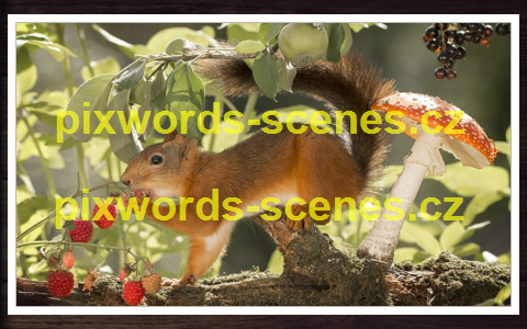 PixWords Scenes help