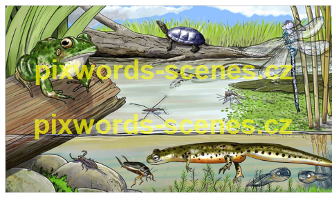 PixWords Scenes help