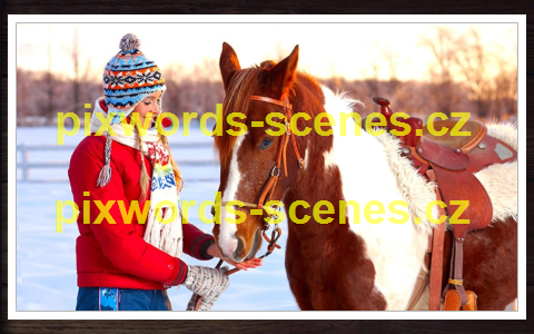 PixWords Scenes help