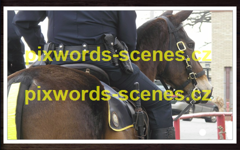 PixWords Scenes help